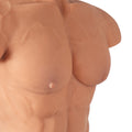 Ppunson male sex doll torso-35LB-chest close-up